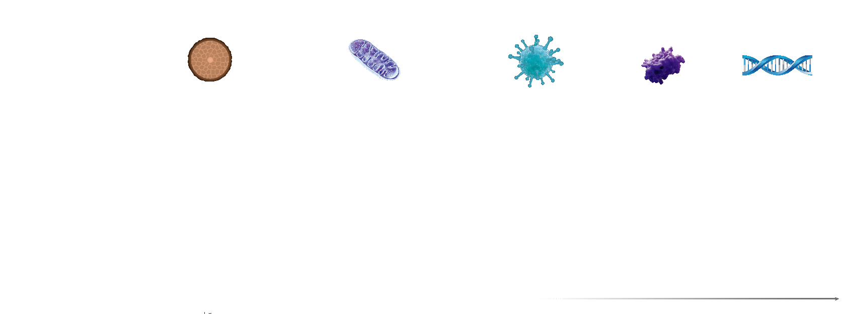 ウルトラSi プレマテックス ハイクラスシリコン塗料 | 厚木市の外壁