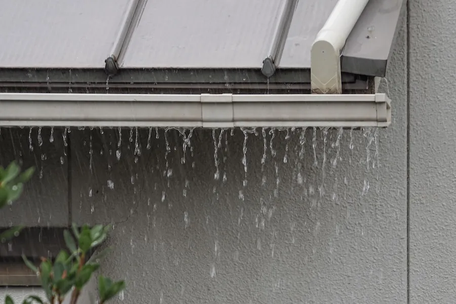 落ち葉や枝が入り込んでいたら雨樋掃除をご検討ください!