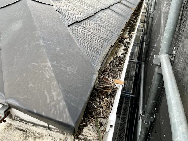 落ち葉や枝が入り込んでいたら雨樋掃除をご検討ください!